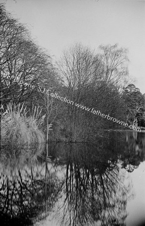 AROUND THE LAKE FROM N.LOOKING ALONG 